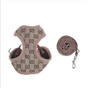 Inspired dog harness and leash